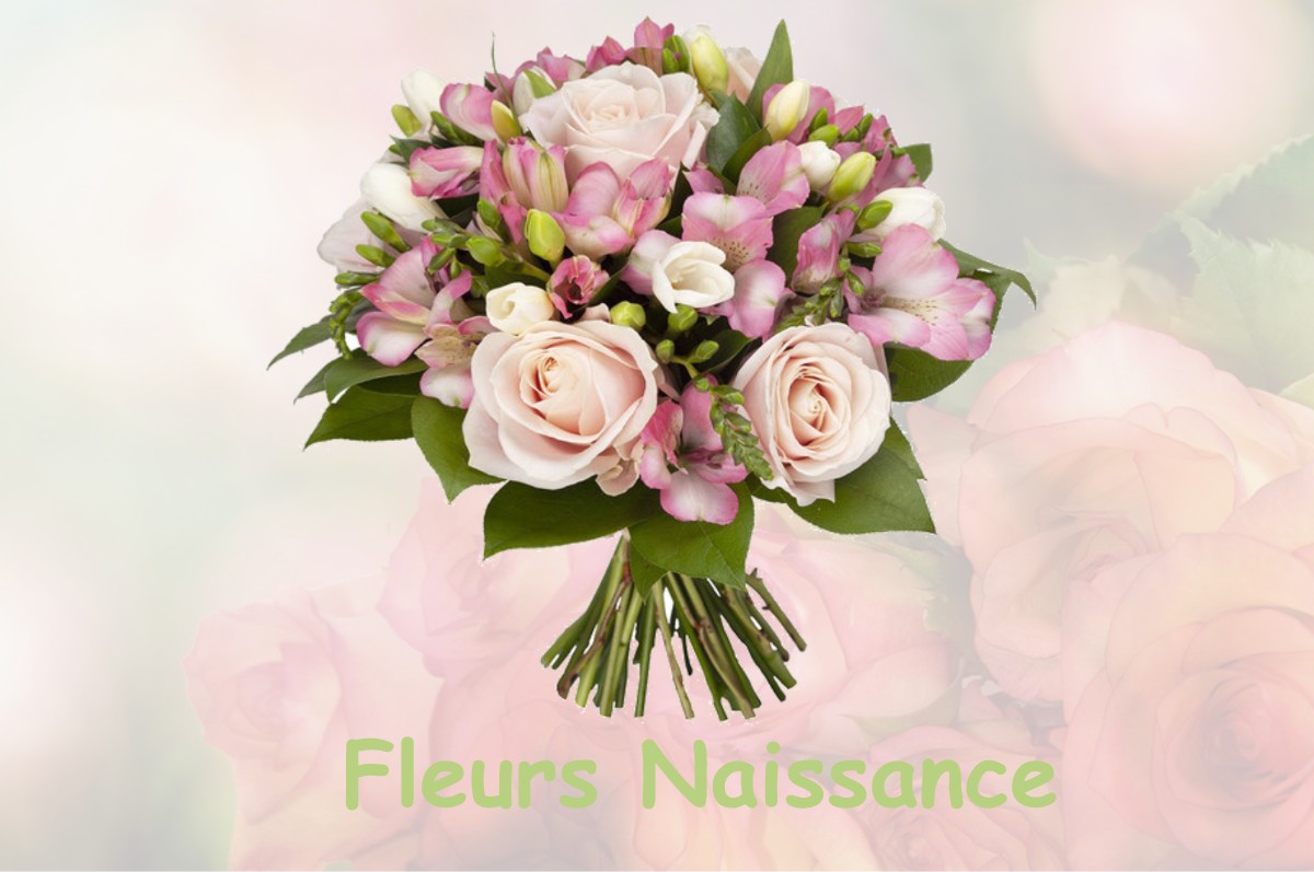 fleurs naissance AUGERANS