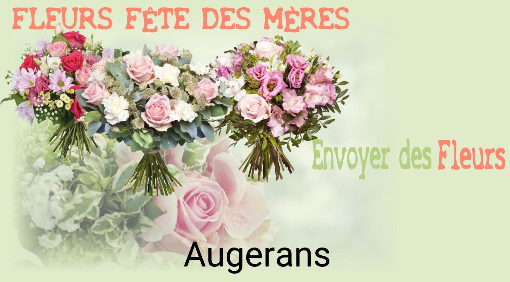 Bouquet de Fête des Mères livré à Augerans