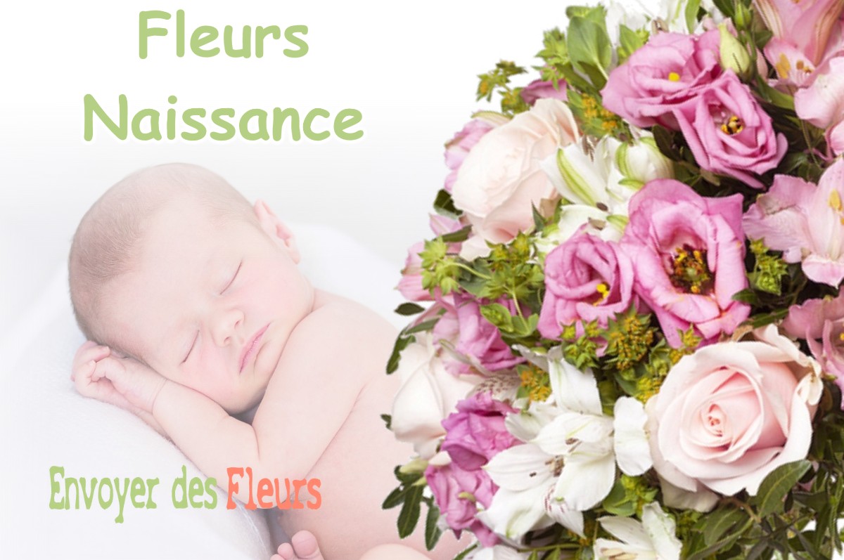 lIVRAISON FLEURS NAISSANCE à AUGERANS